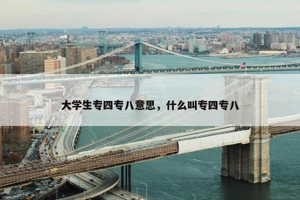 大学生专四专八意思，什么叫专四专八