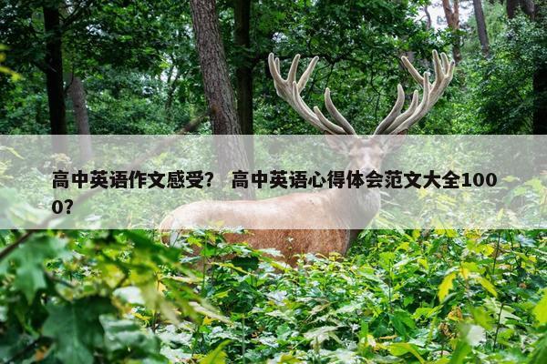 高中英语作文感受？ 高中英语心得体会范文大全1000？