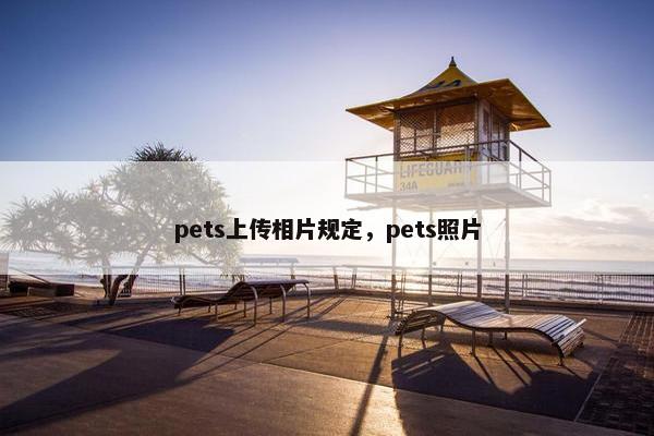 pets上传相片规定，pets照片