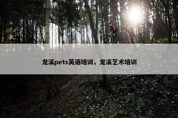 龙溪pets英语培训，龙溪艺术培训