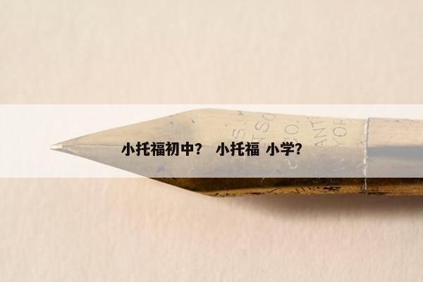 小托福初中？ 小托福 小学？