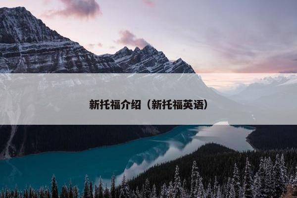 新托福介绍（新托福英语）