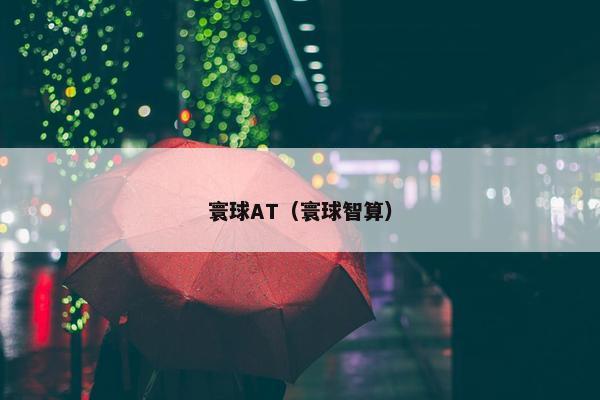 寰球AT（寰球智算）