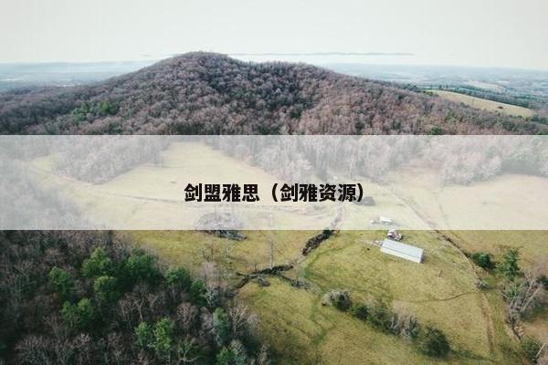 剑盟雅思（剑雅资源）