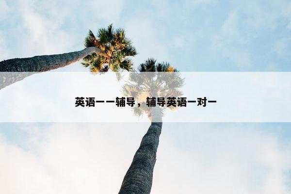 英语一一辅导，辅导英语一对一