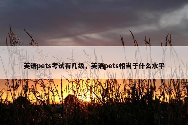 英语pets考试有几级，英语pets相当于什么水平