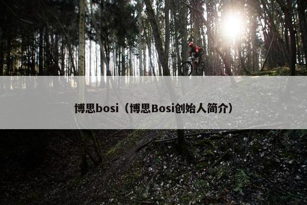 博思bosi（博思Bosi创始人简介）