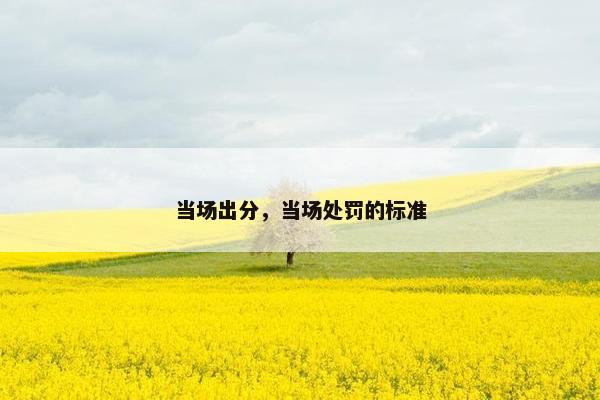 当场出分，当场处罚的标准