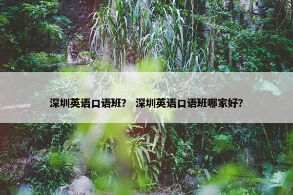 深圳英语口语班？ 深圳英语口语班哪家好？