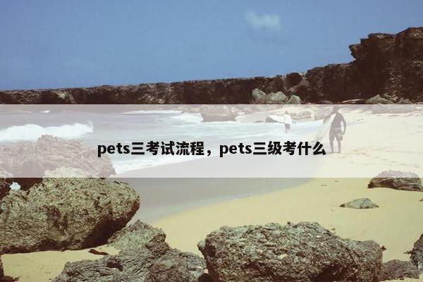 pets三考试流程，pets三级考什么