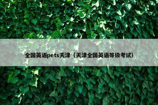 全国英语pets天津（天津全国英语等级考试）