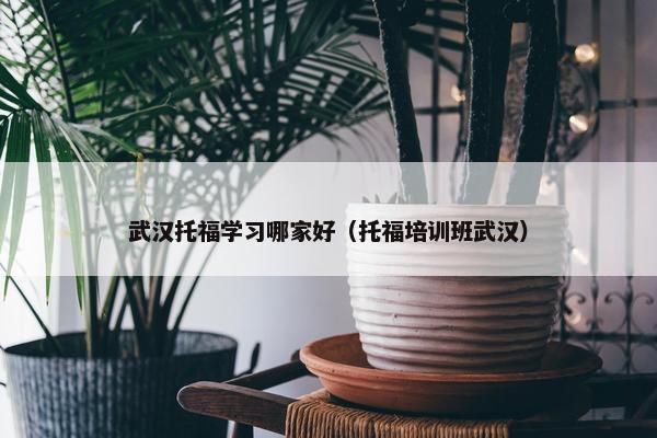 武汉托福学习哪家好（托福培训班武汉）
