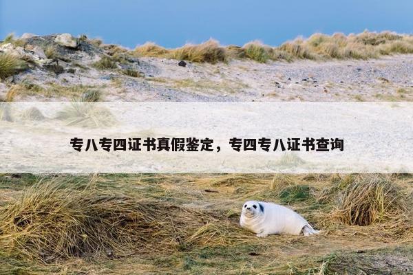专八专四证书真假鉴定，专四专八证书查询