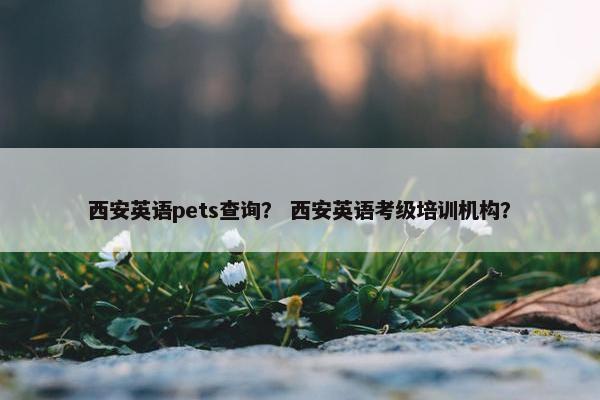 西安英语pets查询？ 西安英语考级培训机构？