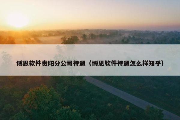 博思软件贵阳分公司待遇（博思软件待遇怎么样知乎）