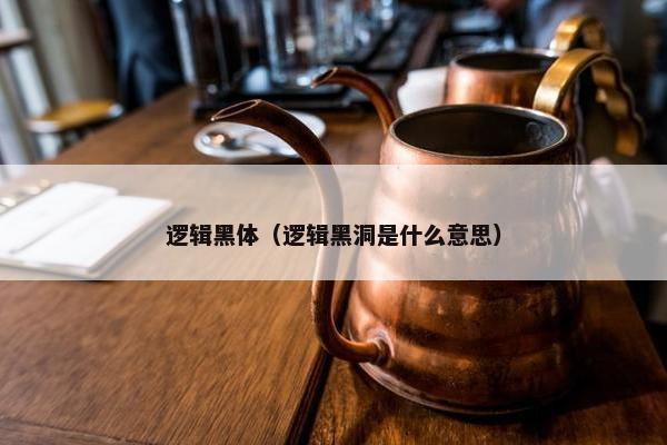 逻辑黑体（逻辑黑洞是什么意思）