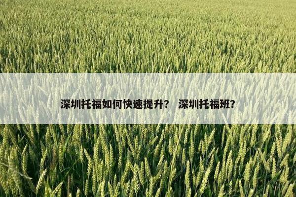 深圳托福如何快速提升？ 深圳托福班？