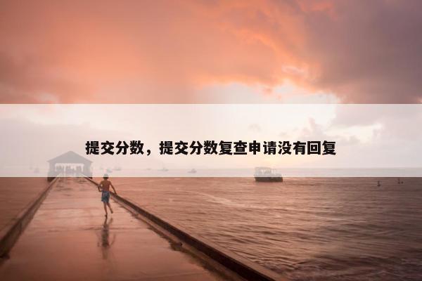 提交分数，提交分数复查申请没有回复