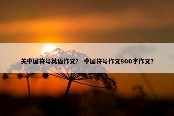 关中国符号英语作文？ 中国符号作文800字作文？