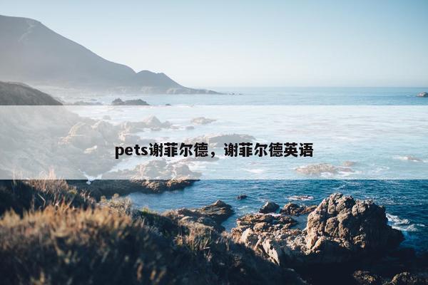 pets谢菲尔德，谢菲尔德英语