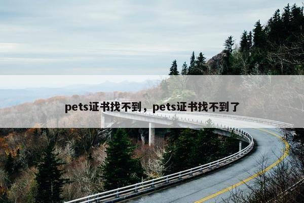 pets证书找不到，pets证书找不到了