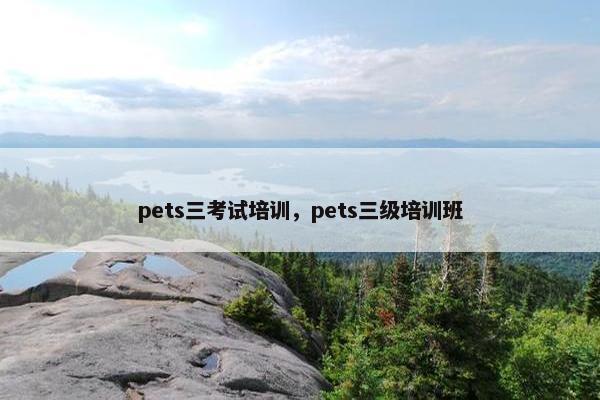 pets三考试培训，pets三级培训班