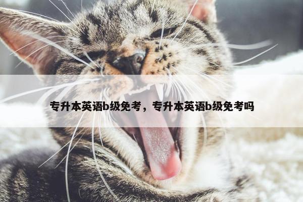 专升本英语b级免考，专升本英语b级免考吗
