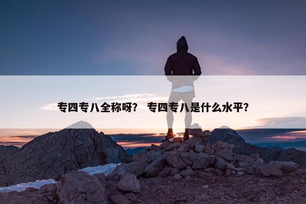 专四专八全称呀？ 专四专八是什么水平？