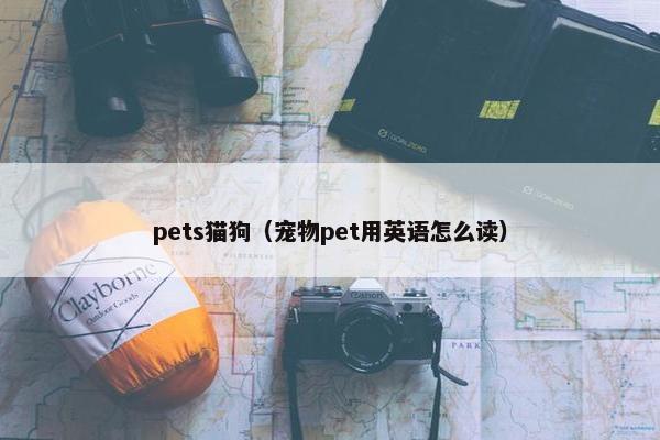 pets猫狗（宠物pet用英语怎么读）