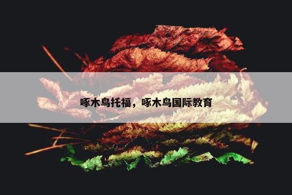 啄木鸟托福，啄木鸟国际教育