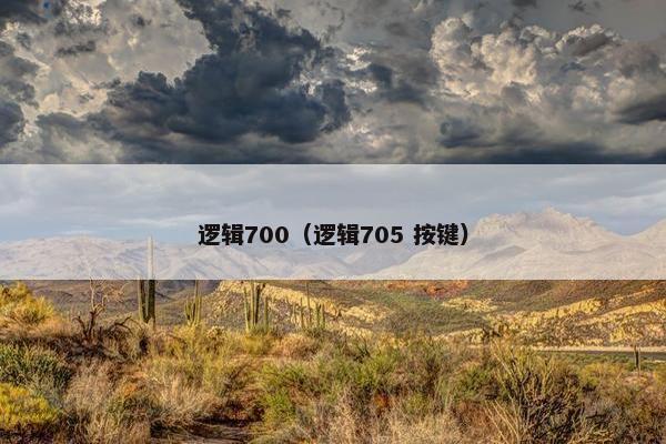 逻辑700（逻辑705 按键）