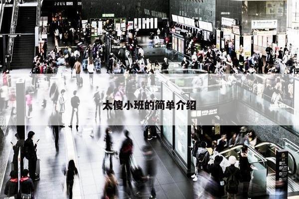 太傻小班的简单介绍