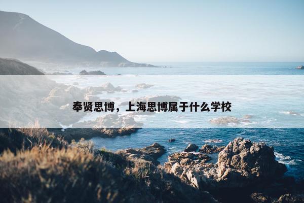 奉贤思博，上海思博属于什么学校