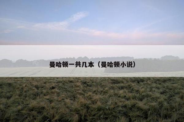 曼哈顿一共几本（曼哈顿小说）
