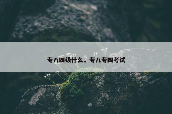 专八四级什么，专八专四考试