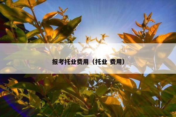 报考托业费用（托业 费用）