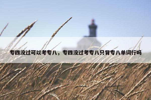 专四没过可以考专八，专四没过考专八只背专八单词行吗