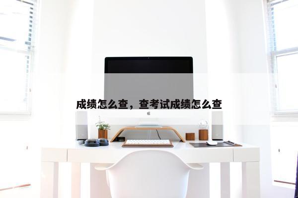 成绩怎么查，查考试成绩怎么查