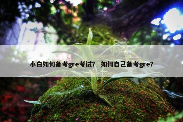 小白如何备考gre考试？ 如何自己备考gre？