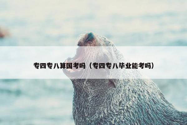 专四专八算国考吗（专四专八毕业能考吗）