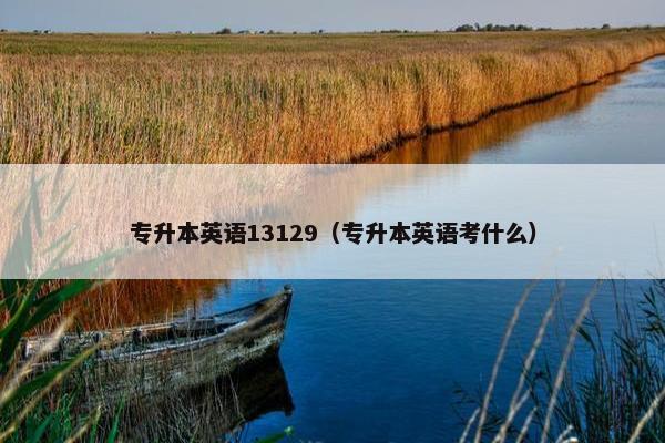 专升本英语13129（专升本英语考什么）