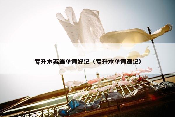 专升本英语单词好记（专升本单词速记）
