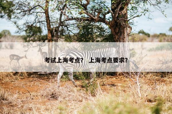 考试上海考点？ 上海考点要求？