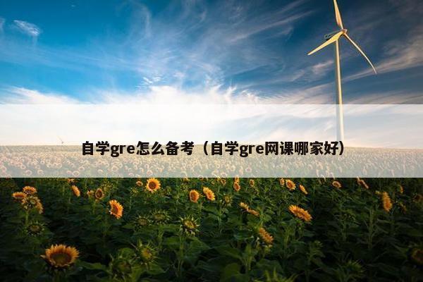 自学gre怎么备考（自学gre网课哪家好）