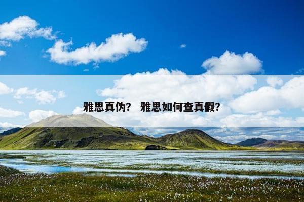 雅思真伪？ 雅思如何查真假？