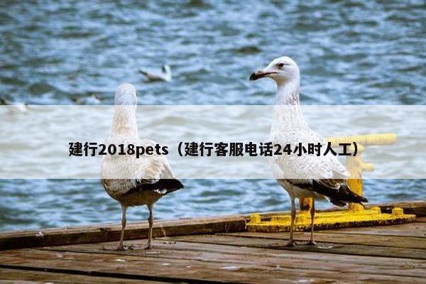 建行2018pets（建行客服电话24小时人工）