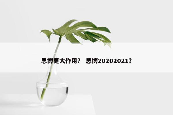 思博更大作用？ 思博20202021？