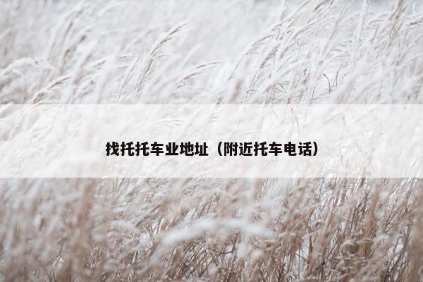 找托托车业地址（附近托车电话）
