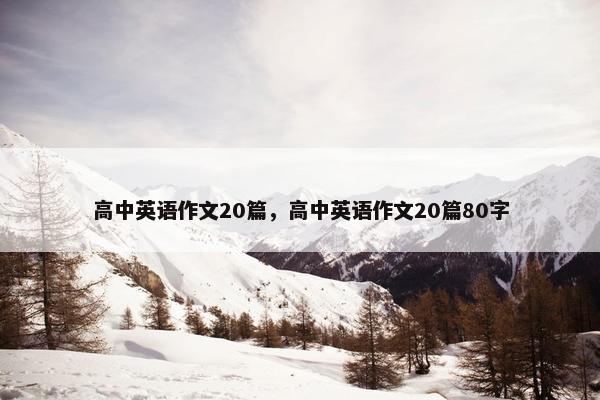 高中英语作文20篇，高中英语作文20篇80字
