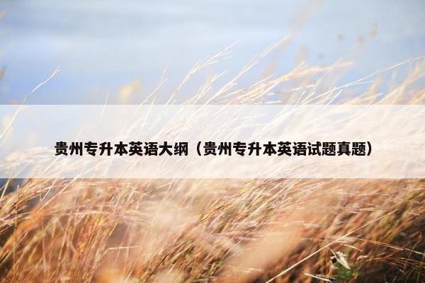 贵州专升本英语大纲（贵州专升本英语试题真题）
